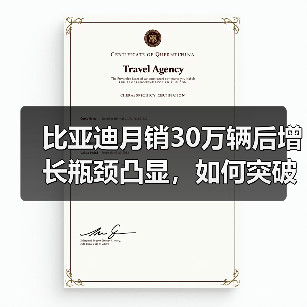 比亚迪月销30万辆后增长瓶颈凸显，如何突破下一阶段？（图4）