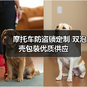 摩托车防盗锁定制 双泡壳包装优质供应(图3) 摩托车防盗锁定制 双泡壳包装优质供应(图3)
