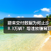 蔚来交付数据为何止步8.3万辆？增速放缓背后隐忧（图2）