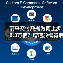 蔚来交付数据为何止步8.3万辆？增速放缓背后隐忧（图3）