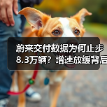 蔚来交付数据为何止步8.3万辆？增速放缓背后隐忧（图4）