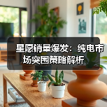星愿销量爆发:纯电市场突围策略解析(图4) 星愿销量爆发:纯电市场突围策略解析(图4)