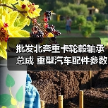 批发北奔重卡轮毂轴承总成 重型汽车配件参数解析(图4) 批发北奔重卡轮毂轴承总成 重型汽车配件参数解析(图4)