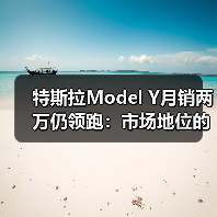 特斯拉Model Y月销两万仍领跑：市场地位的成色与隐忧（图1）