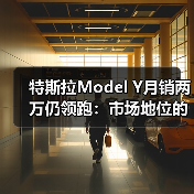 特斯拉Model Y月销两万仍领跑：市场地位的成色与隐忧（图3）