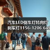 汽车LED倒车灯转向灯刹车灯1156-1206 64SMD高亮度长寿命(图3) 汽车LED倒车灯转向灯刹车灯1156-1206 64SMD高亮度长寿命(图3)