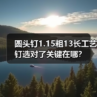 圆头钉1.15粗13长工艺钉选对了关键在哪？（图3）