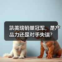 凯美瑞销量冠军，是产品力还是对手失误？（图3）