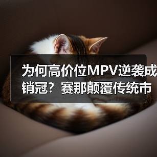 为何高价位MPV逆袭成销冠？赛那颠覆传统市场认知（图4）