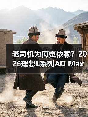 老司机为何更依赖？2026理想L系列AD Max实测结果出人意料（图2）