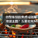 微型车续航焦虑成销量滑坡主因？五菱宏光MINIEV掉出前三（图2）