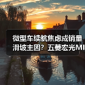 微型车续航焦虑成销量滑坡主因？五菱宏光MINIEV掉出前三（图3）