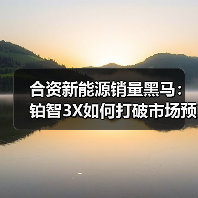 合资新能源销量黑马：铂智3X如何打破市场预期（图4）