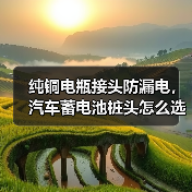 纯铜电瓶接头防漏电，汽车蓄电池桩头怎么选？（图2）