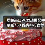 原装进口V6发动机配件 荣威750 路虎神行者等适用（图2）