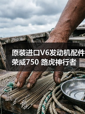 原装进口V6发动机配件 荣威750 路虎神行者等适用（图3）
