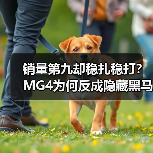 销量第九却稳扎稳打？MG4为何反成隐藏黑马？（图2）