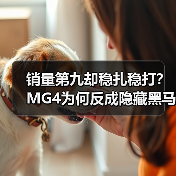 销量第九却稳扎稳打？MG4为何反成隐藏黑马？（图3）