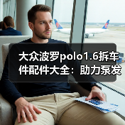 大众波罗polo1.6拆车件配件大全：助力泵发电机发动机等常用件推荐（图2）