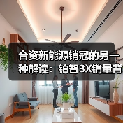 合资新能源销冠的另一种解读：铂智3X销量背后的数据密码（图2）