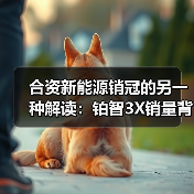 合资新能源销冠的另一种解读：铂智3X销量背后的数据密码（图4）