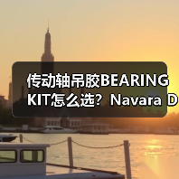 传动轴吊胶BEARING KIT怎么选？Navara D40适用全解析（图1）