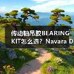 传动轴吊胶BEARING KIT怎么选？Navara D40适用全解析（图2）