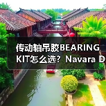 传动轴吊胶BEARING KIT怎么选？Navara D40适用全解析（图3）