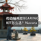 传动轴吊胶BEARING KIT怎么选？Navara D40适用全解析（图4）