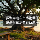 微型电动车市场销量下跌是否预示着行业进入存量竞争？（图2）