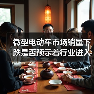 微型电动车市场销量下跌是否预示着行业进入存量竞争？（图1）
