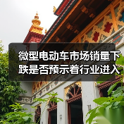 微型电动车市场销量下跌是否预示着行业进入存量竞争？（图3）