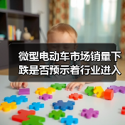 微型电动车市场销量下跌是否预示着行业进入存量竞争？（图4）