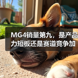 MG4销量第九，是产品力短板还是赛道竞争加剧？（图4）