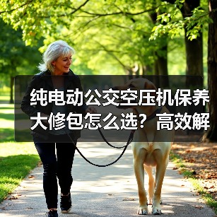 纯电动公交空压机保养大修包怎么选？高效解决方案推荐（图4）