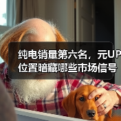 纯电销量第六名，元UP位置暗藏哪些市场信号？（图2）