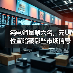 纯电销量第六名，元UP位置暗藏哪些市场信号？（图3）
