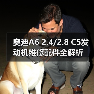 奥迪A6 2.4/2.8 C5发动机维修配件全解析（图2）