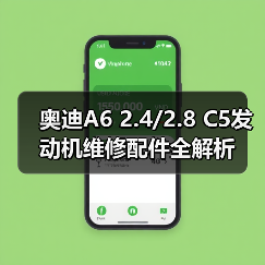 奥迪A6 2.4/2.8 C5发动机维修配件全解析（图4）