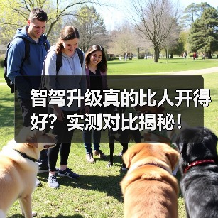 智驾升级真的比人开得好？实测对比揭秘！（图3）