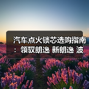 汽车点火锁芯选购指南：领驭朗逸 新朗逸 