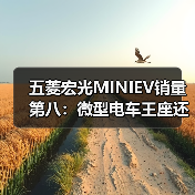 五菱宏光MINIEV销量第八：微型电车王座还能守多久？（图4）