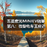 五菱宏光MINIEV销量第八：微型电车王座还能守多久？（图3）