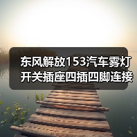 东风解放153汽车雾灯开关插座四插四脚连接插头（图2）