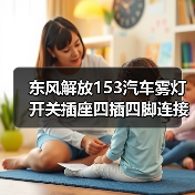 东风解放153汽车雾灯开关插座四插四脚连接插头（图1）