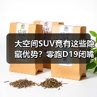 大空间SUV竟有这些隐藏优势？零跑D19闭嘴理由曝光（图3）
