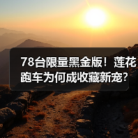 78台限量黑金版！莲花跑车为何成收藏新宠？（图2）