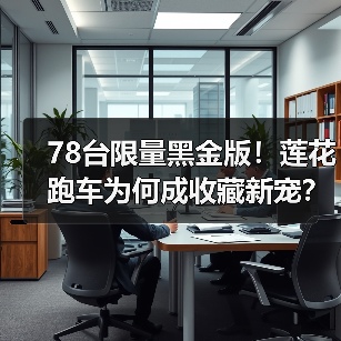 78台限量黑金版！莲花跑车为何成收藏新宠？（图4）