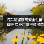 汽车防盗锁高安全性能解析 专业厂家推荐出口锁具（图3）