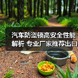 汽车防盗锁高安全性能解析 专业厂家推荐出口锁具（图4）